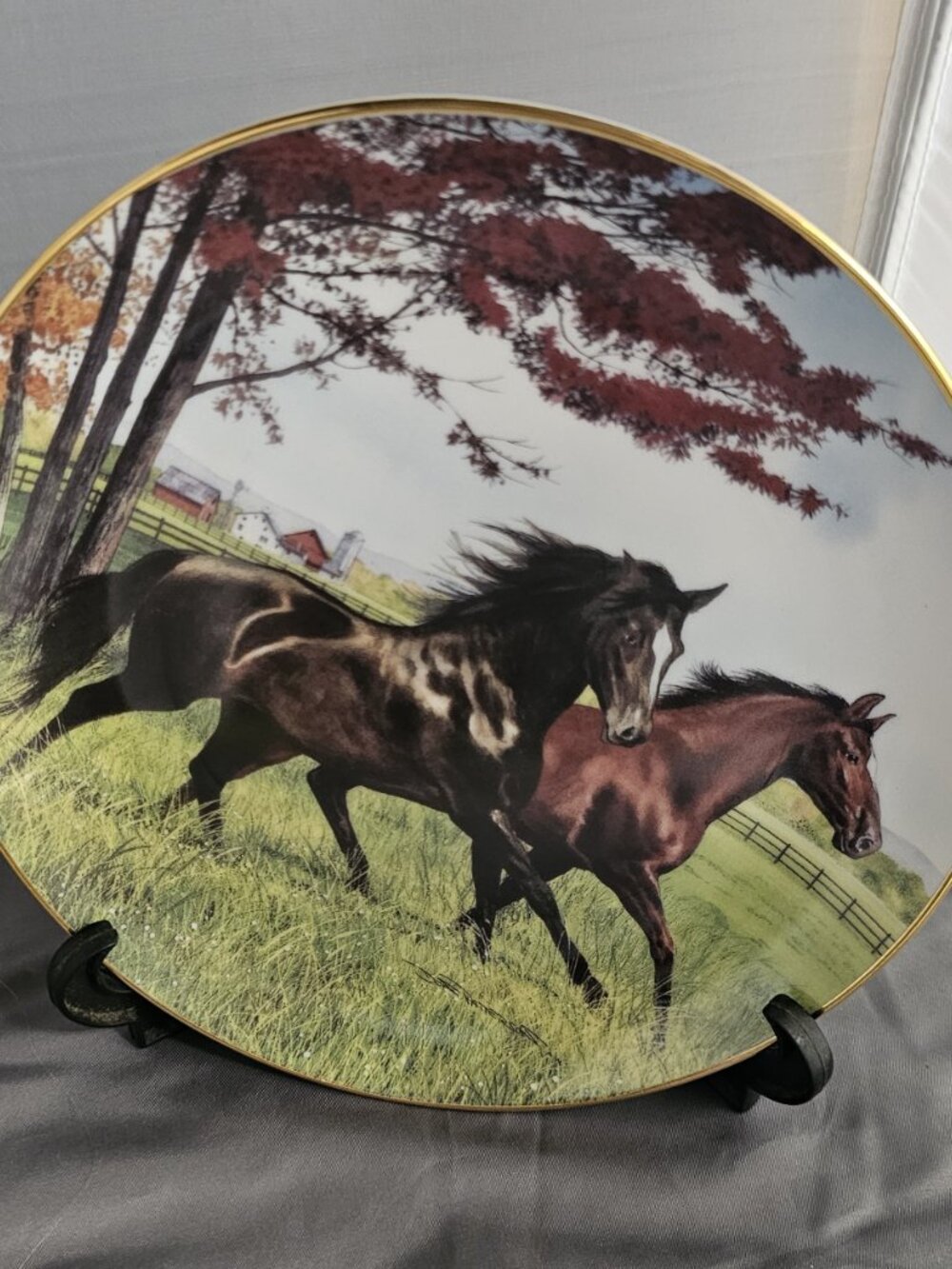 Autumn Run - Donald Patterson - Danbury Mint Plate #B8180